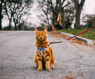 aamber-kipp-n4pnuxxyir4-unsplash-1-e1575978978678