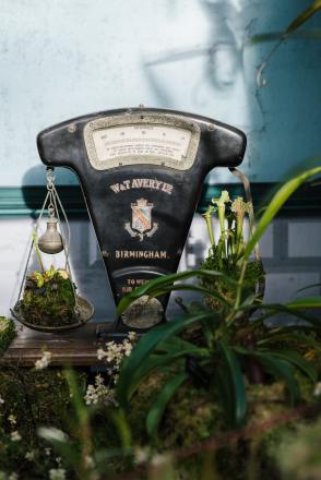 annie-spratt-P2y2MaydkRU-unsplash