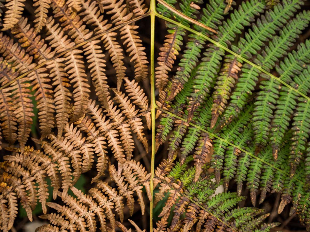 Manly women, womanly&nbsp;men