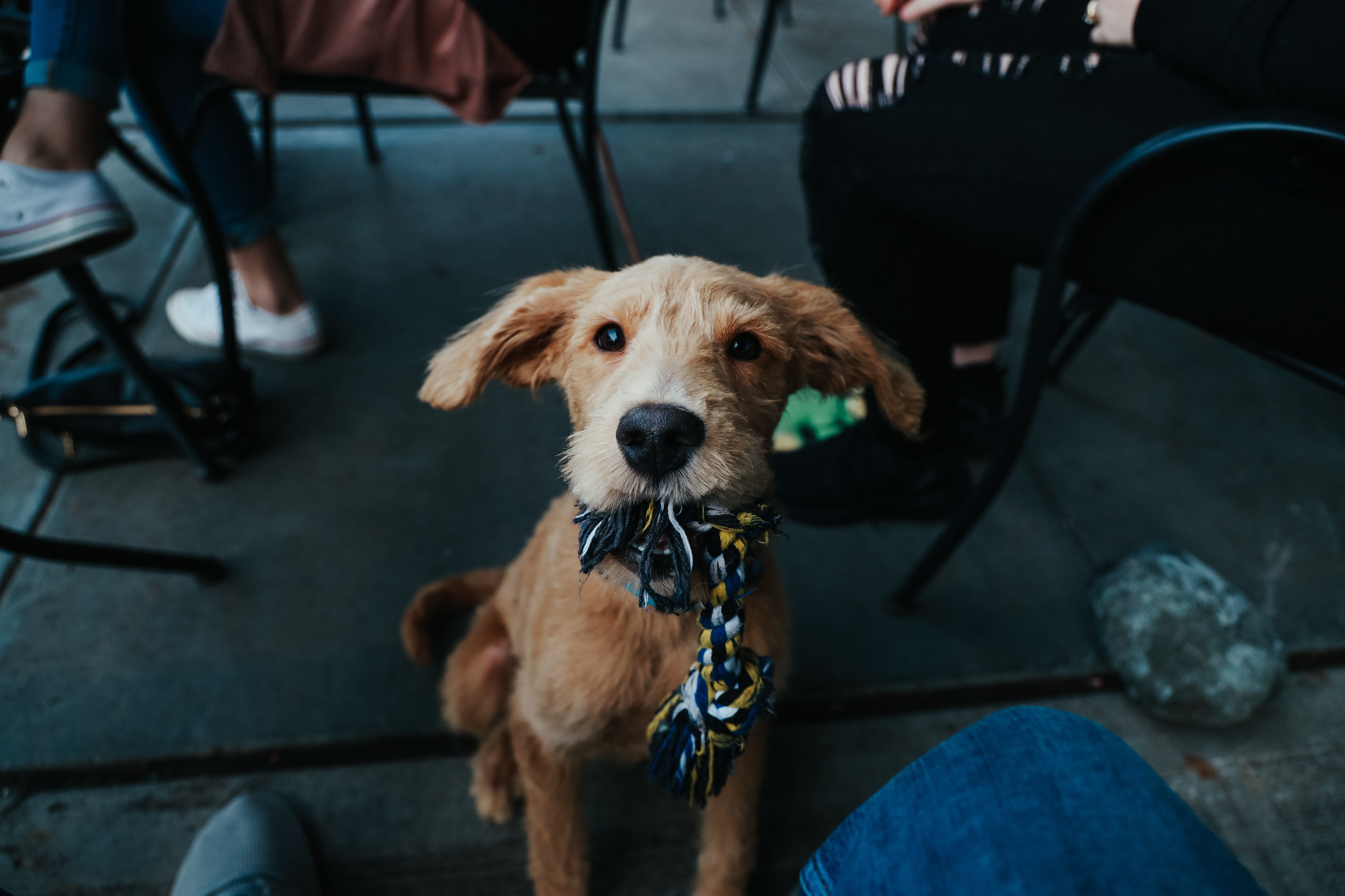 brendan-hollis-BXYKqXStTk8-unsplash